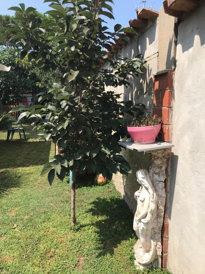 Mirella'S House Viaverona Ardea Luaran gambar